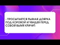 Просыпается пьяная доярка под коровой и увидев перед собой вымя кричит… 😂 Смешные Анекдоты Дня!