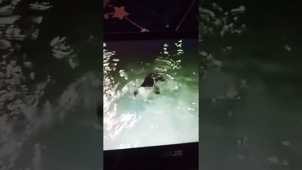 VBS adventure Oasis.  all locations.  Mr grouper's swim school 