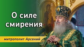 Проповедь митр. Арсения в день памяти преподобного Сергия Радонежского 8.10.23 г.