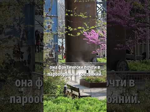 Парк Домино, Бруклин.