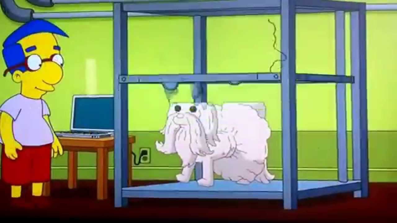 Year 3000 busted simpsons youtube