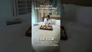 6 ноября 2025 г.