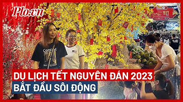 Du lịch tết Nguyên đán 2023 bắt đầu sôi động - PLO