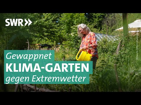Video: Gartenarbeit mit Mikroklima im Hinterkopf: Mikroklima in Ihrem Garten nutzen