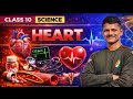 Cardiovascular System Explained in Hindi | Heart Structure & Function