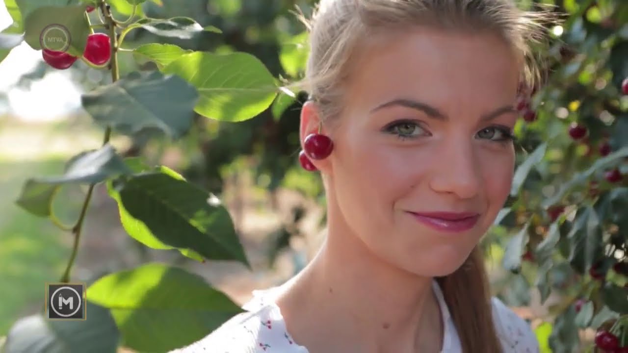 Mesterember - Meggytermesztő