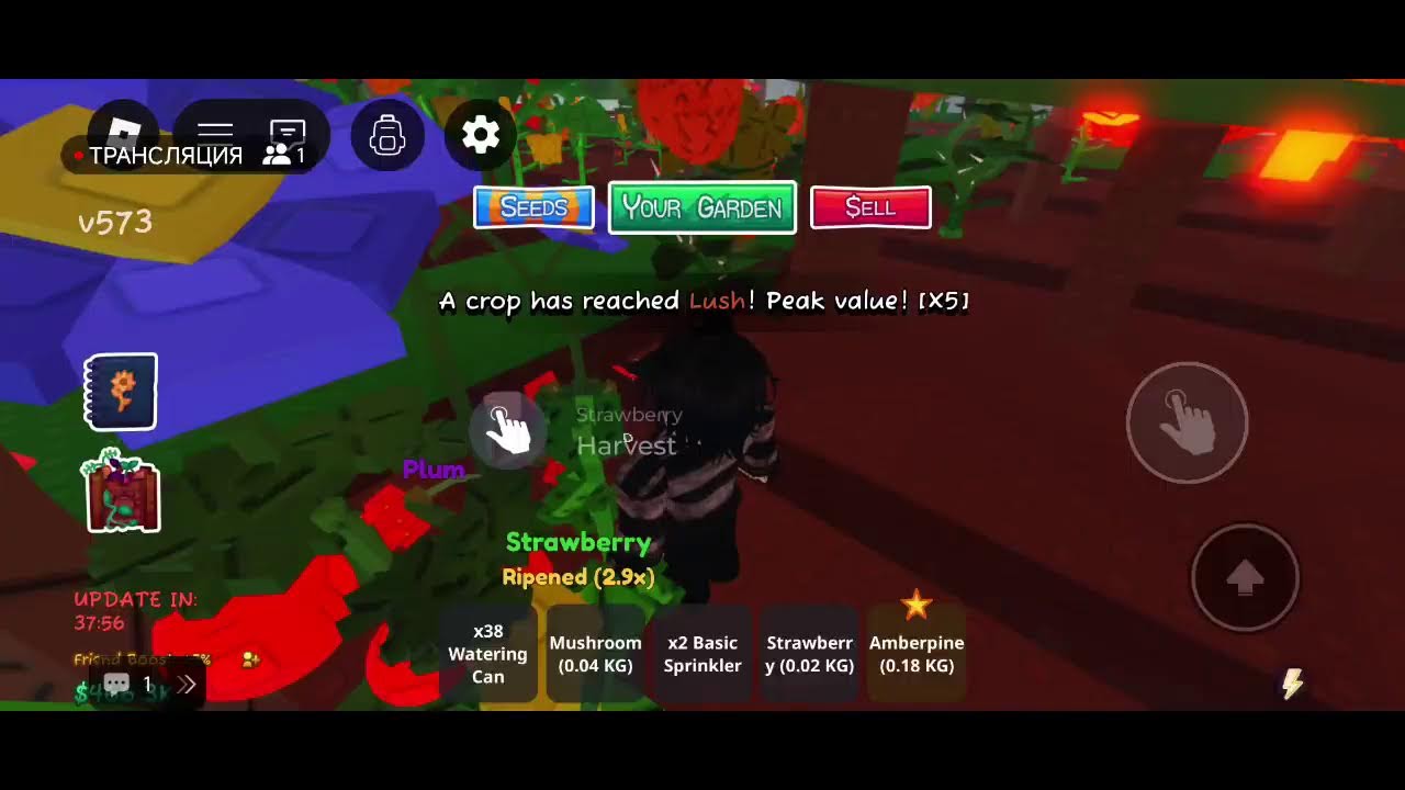 админ абюз в вырость сад 2!!!