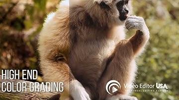 One-Stop Video Editing Services for All Your Needs | Video Editor USA