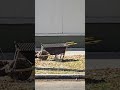 Estamos en Resistencia 1152, Lanús Oeste.
