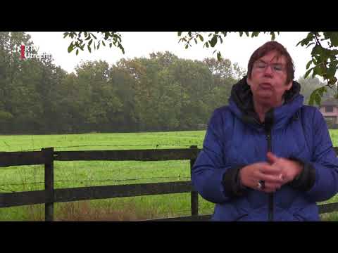 Bunnik verzet zich tegen bouwplannen  [RTV Utrecht]