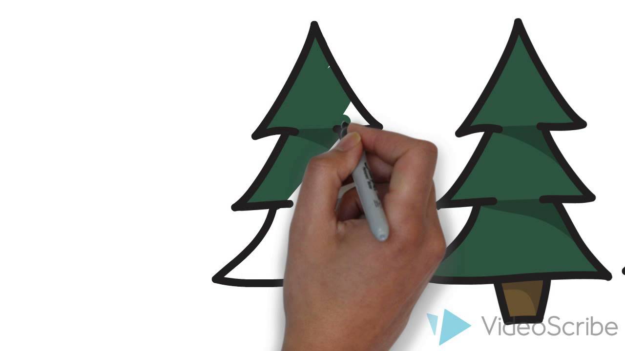 Oregon Medical Marijuana Outdoor Growing