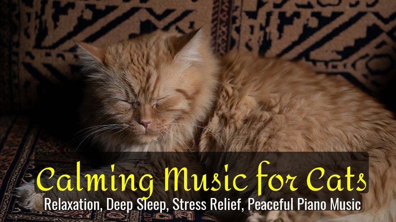 Calming Music for Cats - Relaxation, Deep Sleep, Stress Relief, Peaceful Piano Music | Season 53