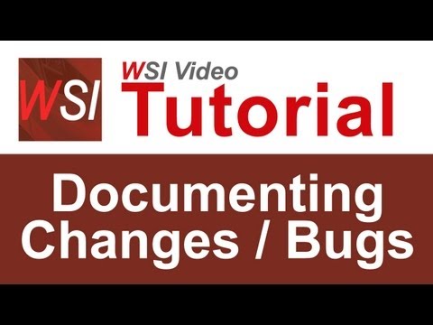 How to Document Database Changes and Report Bugs