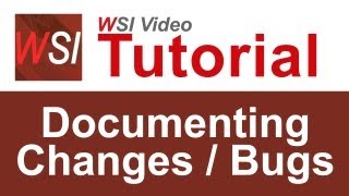 How to Document Database Changes and Report Bugs