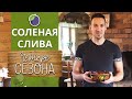 Очень вкусный рецепт солёных слив ! | Как засолить сливу к мясу?