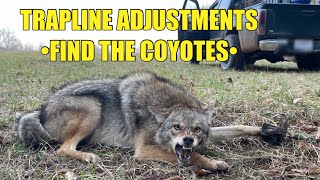 MOVING TRAPS AND TRAPPING COYOTES!!! HOW TO FIND COYOTES!!!
