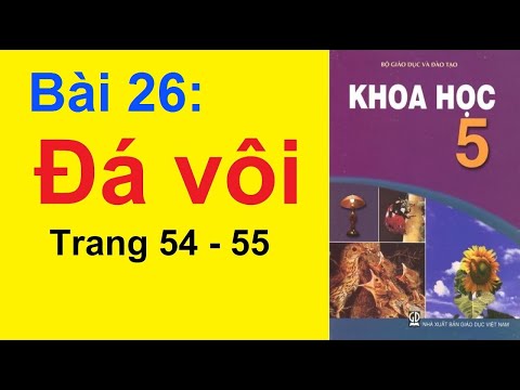 Video Khoa Học Lớp 5 Bài 26 - Đá Vôi - Trang 54 - 55 - youtube