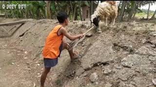 STory Wa buat mantan//Dj entah apa yg merasukimu