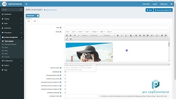 Setting Up Pro nopCommerce Themes
