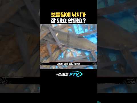 보름달에 장어낚시가 잘 될까? #shorts #장어