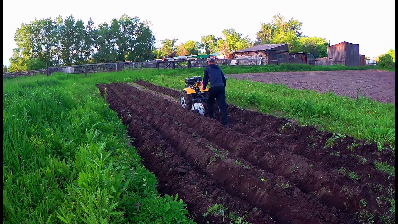 Испытание дисковых окучников и разблокираторов мотоблока