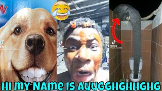 Hi My Name Is Aughhhh Compilation  Tiktok Compilation