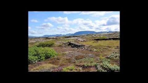 Island 2009