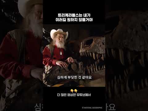 트리케라톱스는 내가 이러길 원하지 않을거야