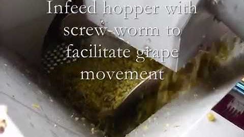 Criveller - Enoveneta Top 80 destemmer, 513 Mohno and Custom Built Conveyor System