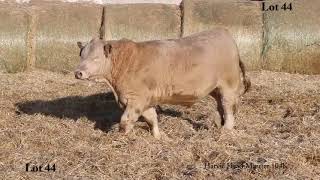 Lot 44 - Harvie Head Masrer 104K