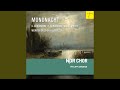 Miniature de la vidéo de la chanson “…Wie In Welschland Lau Und Blau…” Für Männerchor A Cappella: V. Wehmut