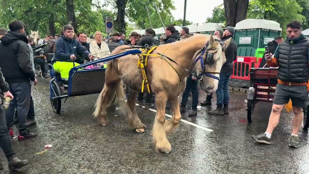 Appleby Horse Fair 2025 | Saturday 7th June