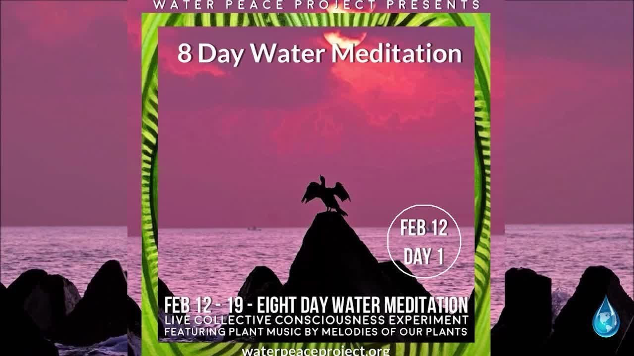 FEB 12 Day 1 of 8 Day Water Meditation & Consciousness Experiment Featuring Plant Music -2026
