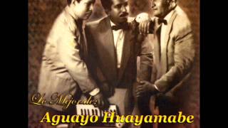 Video thumbnail of "Dúo Aguayo  Huayamabe Cansados Pies"