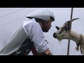 The Man Who Wanted to be a Goat | Nature–Design Triennial