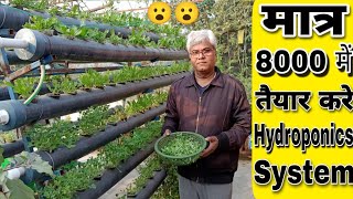 Build Such A Big Hydroponics System On Your Terrace For Just 8000 And Harvest Lots Of Vegetables