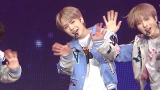 260104 Hello Mellow Yushi Focus