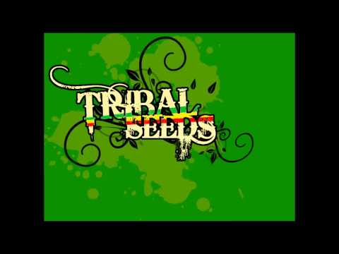 Tribal Seeds - Dark Angel