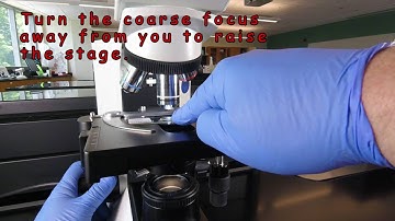 How to Focus Using Oil Immersion Microscopy (1000X)