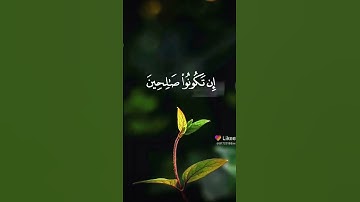 أجمل حالات واتساب قرآن كريم بصوت ماهر المعيقلي #قناة_أبي_أنس_الرسمية