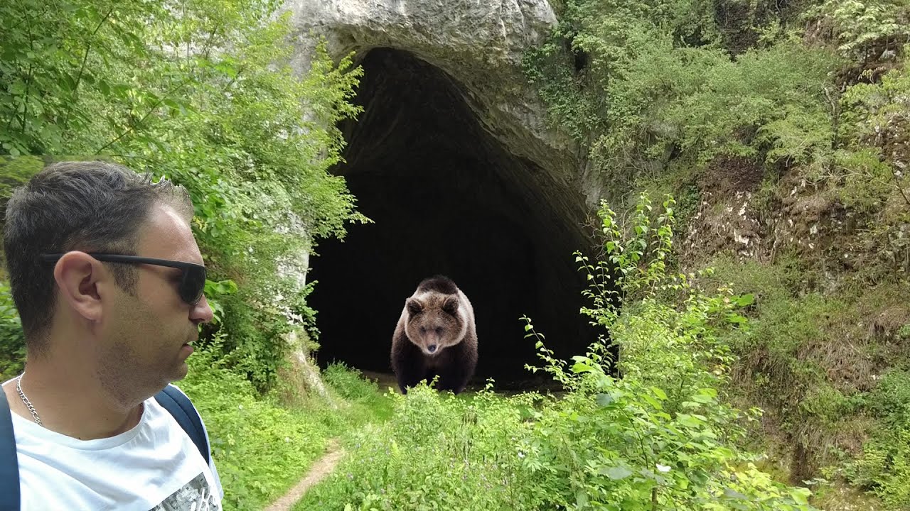 Zamalo medvjedu u šape! - DABARSKA PEĆINA