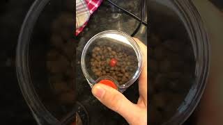 Bodum Bistro Blade Grinder