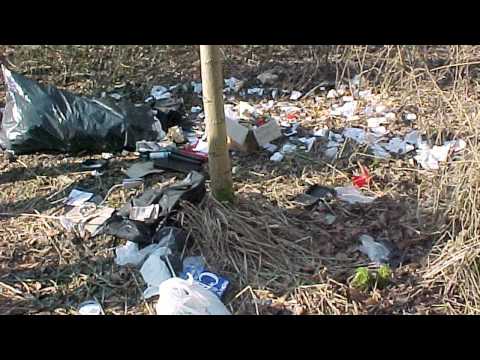 Trash Foils Diamond Heist