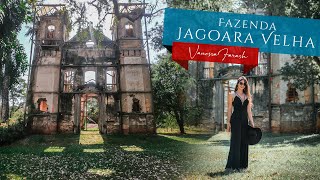 Tour pela Jagoara Velha - Fazenda // Matozinhos, MG // Visita Técnica