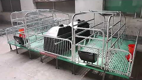 Farrowing Crate Piggery Pig cage
