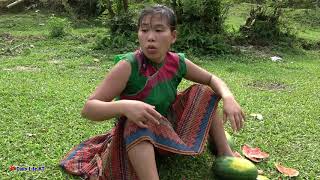 Swimming in hot season meet many watermelon at river - Eating delicious watermelon