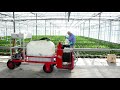 PlantoSys biostimulans   spraying Cuprum and SalicylPure