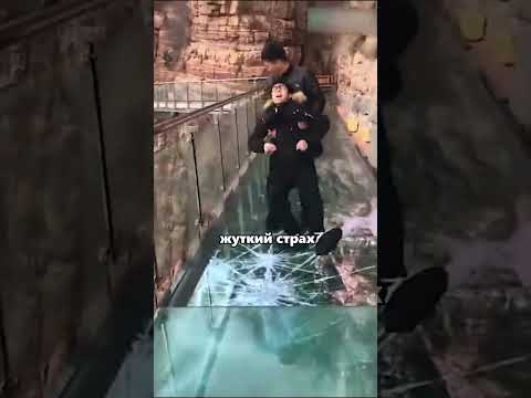 Приколы с туристами на стеклянном мосту в Китае. #shortsvideo #shorts