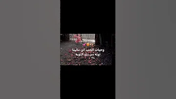 قلبي عاشق علي بابك غناه 