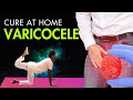 Varicocele exercises part 1  at home  yoga for varicocele